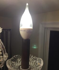 Bioluz LED 6 Pack Flame Tip Candelabra LED Bulb, Dimmable 40 Watt Chandelier Bulbs 40 (uses 4.5W) Watt E12 Base Candle Bulbs 2700K (Warm White) Indoor/Outdoor Flame Tip - 6 Pack 30 71gmuMgNbKL