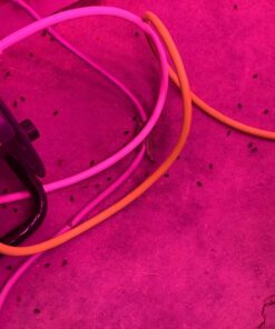 1500 Live Ladybugs - Good Bugs - Ladybugs - Guaranteed Live Delivery! 19 71gr7K62L