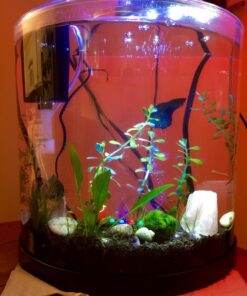Tetra ColorFusion Starter aquarium Kit 3 Gallons, Half-Moon Shape, With Bubbler And Color-Changing Light Disc 56 71gt5GFqovL
