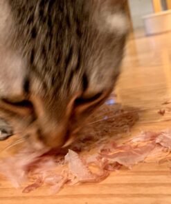 Cat-Man-Doo Extra Large Dried Bonito Flakes Treats for Dogs & Cats - All Natural High Protein Flakes - 4oz. / 112g Bag 4 Ounce (Pack of 1) 44 71gtH BpWYL 2