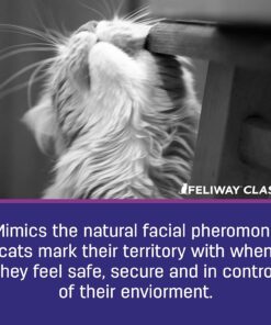 FELIWAY Classic Cat Calming Pheromone Travel Spray (20 mL) 1.8"L x 1.8"W x 3.8"Th 22 71guEPtZW2L