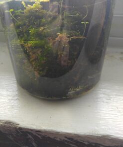 Luffy Decorative Wall or Floor Mesh Kit, 2 Pieces 44 71gwoAXoNNL