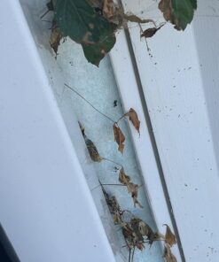 Roundup Ready-To-Use Weed & Grass Killer III -- with Sure Shot Wand, Use in & Around Vegetable Gardens, Tree Rings, Flower Beds, Patios & More, Kills to the Root, 1.33 gal. 30 71gx5YGI5IL