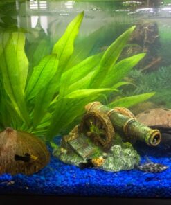 SunGrow Coconut Aquarium Shrimp Cave, Small Fish Tank Aquarium Decorations Accessories, Comfortable Shelter and Breeding Area for Crustaceans, Fish Hideout Aquarium Décor for Spawning 23 71gxYbLdf3L