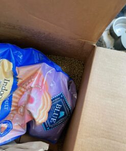 Blue Buffalo Tastefuls Indoor Natural Adult Dry Cat Food, Chicken 15lb bag Chicken & Brown Rice 15 Pound (Pack of 1) 40 71gyqk4CsL