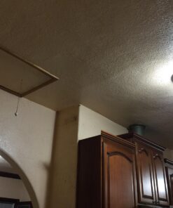 Philips LED Non-Dimmable A19 Frosted Light Bulb: 1500-Lumen, 5000-Kelvin, 14-Watt (100-Watt Equivalent), E26 Medium Screw Base, Daylight, 4-Pack, 455717 4 Count (Pack of 1) 100-Watt Equivalent 31 71gzFpCuOnL