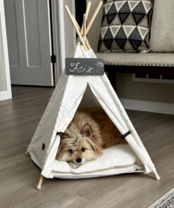 little dove Pet Teepee Dog & Puppy Cat Bed, Portable & Washable Pet Tents, House for Pets Beige Color 24 Inch no Cushion 30 71h6BgDHMPL