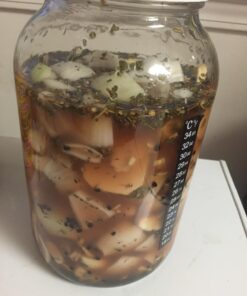 Pakkon Wide Mouth Glass Mason Jar with PlasticLid/Ferment & Store Kombucha Tea or Kefir/Use for Canning, Storing, Pickling & Preserving Dishwasher Safe, Airtight Liner Seal, 1 gallon 32 71h9Bo6pzL