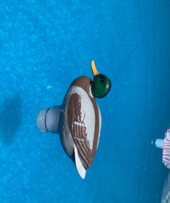 Poolmaster Adustable Chlorine Dispenser for Swimming Pools and Spas, Mallard 31 71hCqtO2RNL