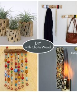 SunGrow Cholla Wood, 5” Climbing Logs, Chew Toy, Aquarium Fish, Snail & Shrimp Driftwood, Décor Adds Raw Beauty, 3 Pack (3 Pieces, 5 inches) 34 71hD8e1zPL