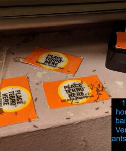 TERRO Liquid Ant Killer ll T200, 2 oz 44 71hDWX2Zt9L