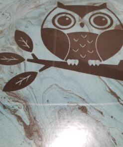 Silhouette America Silhouette Media-CLR-ADH Printable Clear Sticker Paper 32 71hEUv17hpL