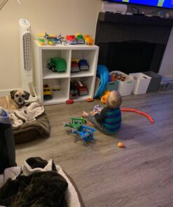 Green Toys Mini Vehicle, 4-Pack 37 71hFmGKb6L