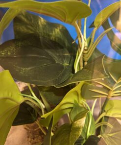 CNZ® Aquarium Fish Tank Green Lifelike Underwater Plastic Plant Aquatic Water Grass Decor (Large, 13-inch) Large, 13-inch 21 71hG1T8rn L