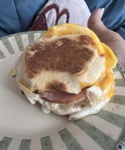 Hamilton Beach Dual Breakfast Sandwich Maker with Timer, Silver (25490A) 40 71hISzFh1tL