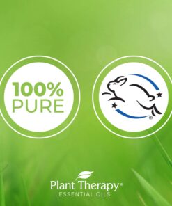 Plant Therapy Oregano Essential Oil 100% Pure, Undiluted, Natural Aromatherapy, Therapeutic Grade 10 mL (1/3 oz) 12 71hJOCnBtTL