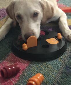 TRIXIE Flip Board Strategy Game, Intermediate Dog Puzzle Toy, Level 2 Activity, Treat Puzzle, Interactive Play, Enrichment Level 2 (Intermediate) 25 71hJr7WCfL