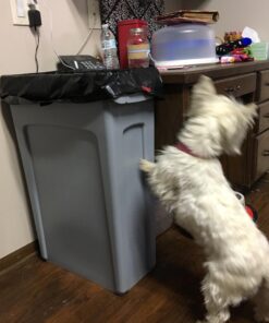 Rubbermaid Commercial Products Slim Jim Plastic Rectangular Trash/Garbage Can with Venting Channels, 23 Gallon, Gray (FG354060GRAY) 1 28 71hLFf5SVvL