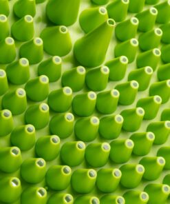 Chemical Guys DIRTTRAP04 Cyclone Dirt Trap Car Wash Bucket Insert Car Wash Filter Removes Dirt and Debris While You Wash (Green) 12" Diameter Great For Washing Cars, Trucks, SUVs, RVs & More Lime Green 29 71hN8DBxj4L