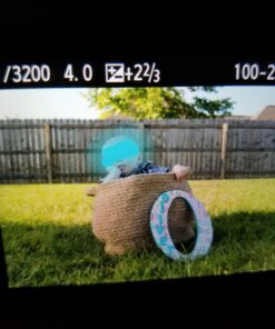 NEEWER 43 Inch/110 Centimeter Light Reflector Diffuser 5 in 1 Collapsible Multi Disc with Bag - Translucent, Silver, Gold, White, and Black for Studio Photography Lighting Outdoor Standard Packaging 37 71hNEOEGnZL