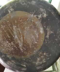 BLACK+DECKER Rice Cooker 14-Cup (Cooked) with Steaming Basket, Removable Non-Stick Bowl, White 32 71hOf EEy6L