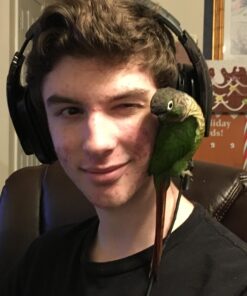 Logitech G933 Artemis Spectrum – Wireless RGB 7.1 Dolby and DTS Headphone Surround Sound Gaming Headset – PC, PS4, Xbox One, Switch, and Mobile Compatible – Advanced Audio Drivers – Black 56 71hOmbCQLXL