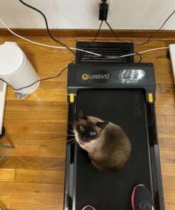 UREVO Under Desk Treadmill, Walking Pad for Home/Office, Portable Walking Treadmill 2.25HP, Walking Jogging Machine with 265 lbs Weight Capacity Remote Control LED Display Black One Size 40 71hRY8StxCL