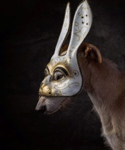 The Dramatic Portrait: The Art of Crafting Light and Shadow 10 71hStrGKTlL