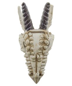 Snarling Magical Dragon Skull Treasure Trinket Box 30 71hV4hUmbML