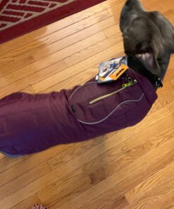 Kurgo Loft Dog Jacket, Reversible Dog Coat, Wear with Harness or Sweater, Water Resistant, Reflective, Winter Coat For Large Dogs (Coastal Blue, XL) Extra Large Coastal Blue/Orange 62 71hXdpiXyHL