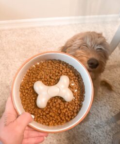 Loving Pets Gobble Stopper Slow Feeder Large 16 71hYn0HGKvL