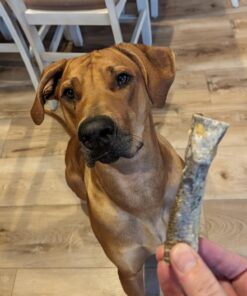 Savory Prime Cod Skin Fish Strips, 16-Ounce, No Artificial Color, All Breed Sizes (62016) 26 71hYvlDsNL