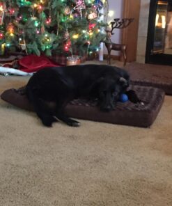 Furhaven Orthopedic Dog Bed for Large/Medium Dogs w/ Removable Washable Cover, For Dogs Up to 55 lbs - Ultra Plush Faux Fur & Suede Mattress - Chocolate, Large Ultra Plush Curly Faux Fur (Chocolate) 36.0"L x 27.0"W x 3.0"Th Orthopedic Foam 46 71hZM4OI2VL 1