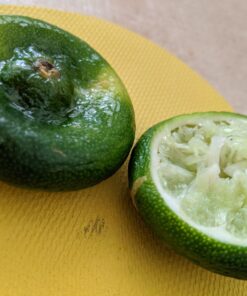 Chef'n FreshForce Citrus Juicer, 10.25 long, Yellow 56 71haEkzvOwL