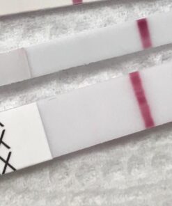 Pregmate 50 Pregnancy Test Strips (50 Count) 50 Count 53 71haUJ5LvZL