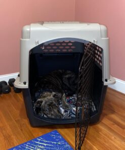 Petmate Vari Dog Kennel 40", Taupe & Black, Portable Dog Crate for Pets 70-90lbs, Made in USA 40"L x 27"W x 30"H Kennel Only 37 71habLY1 CL