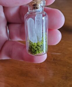 Hypnotic Gems 120g 4.2oz Natural Clear Quartz Crystal Points Shards 30-50 Piece Lot Average Brand 54 71heGSeqP6L