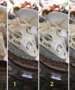 QIAYA Selfie Light Ring Lights LED Circle Light Cell Phone Laptop Camera Photography Video Lighting Clip On Rechargeable 41 71hed7YOtnL