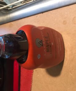 Lakanto Sugar Free Maple Syrup - Monk Fruit Sweetener, Keto Diet Friendly, Vegan, 1g Net Carbs, Pancakes, Waffles, Oatmeal, Coffee, Tea, Granola, Frosting, Marinade, Dressing (13 Fl Oz - Pack of 1) 13 Fl Oz (Pack of 1) 35 71hfSf43TjL