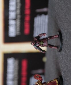 WizKids Dungeons & Dragons Icons of The Realms: Tyranny of Dragons Booster (8) D&D Minis 155 71hlfrq2N0L