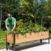 Gardener's Supply Company Raised Garden Bed Elevated Cedar Planter Box | 2' x 8' Standing Garden for Outdoor Plant Vegetables & Flower Gardening Perfect for Patio Deck & Backyard 28 71hnEbHuGZL