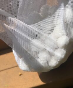 Rx Clear White Luster Filter Media for Swimming Pool Sand Filters | Alternative to Sand and Filter Glass | Specialty Technology Helps Keep Pools Clean | Lasts for Several Seasons | Individual Pack 1-Pack 50 71hpSJeRAHL