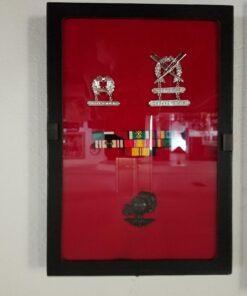 SE Glass Top Display Box - JT928 12" x 8-¼” x ¾" 22 71hr0FwcmaL