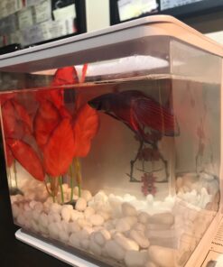 Marina Naturals Red Foreground Silk Plant – Fish Tank Decoration Mimics Live Aquarium Plants Red Small 33 71hruZXb3hL