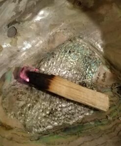 Luna Sundara Organic Wild Harvested Palo Santo Smudging Sticks from Ecuador Select High Resin Natural Incense Sticks Sustainable Packaging 8 Aromatic Sticks for Peace and Tranquility Bursera Graveolens Wood 36 71hsVPWf14L