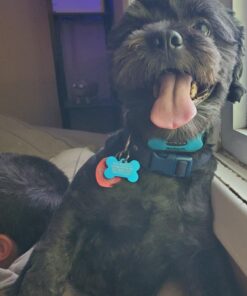 Humane Dog Bark Collar 2 Pack | Anti Barking Training Collar | Vibrating, No Shock Stop Barking for Small Medium Large Dogs | Excessive Barking Pet Corrector, (Battery) Orange & Blue Battery 33 71htNC2Sq9L