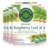 Traditional Medicinals Tea, Organic Raspberry Leaf, Eases Menstrual Cramps, Supports a Healthy Pregnancy, 96 Tea Bags (6 Pack) 16 Count (Pack of 6) 28 71hufEG64RL