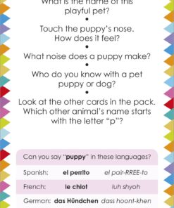 My First Touch and Feel Picture Cards: Animals (My First Board Books) 34 71husk4REuL