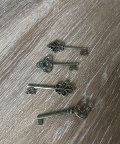 LURLIN Mixed Set of 30 Large Skeleton Keys with Antique Style Bronze Brass Skeleton Castle Dungeon Pirate Keys for Birthday Party Favors, Mini Treasure Toy Gifts, Medieval Middle Ages Theme 37 71hwPGIop3L