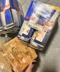 Red Bull Energy Drink, 8.4 Fl Oz, 24 Cans, 4 Count (Pack of 6) Original 8.4 oz. can 43 71hwvwhn8BL